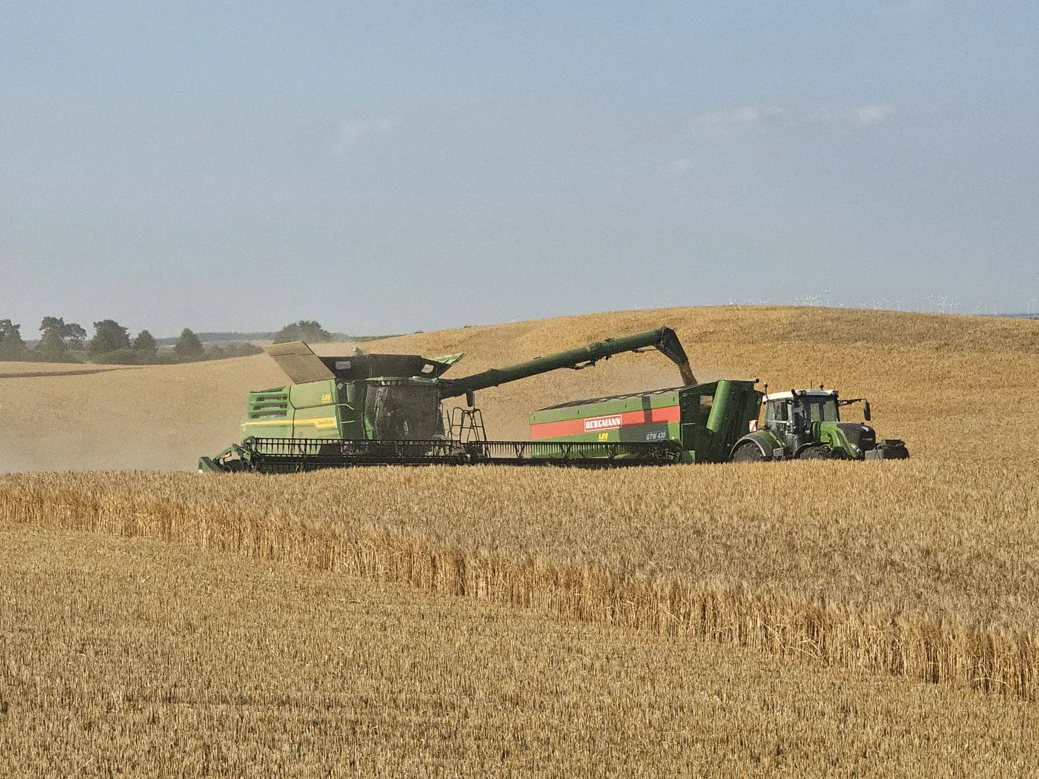 Agrargesellschaft Uckerland mbH, Baum und Land