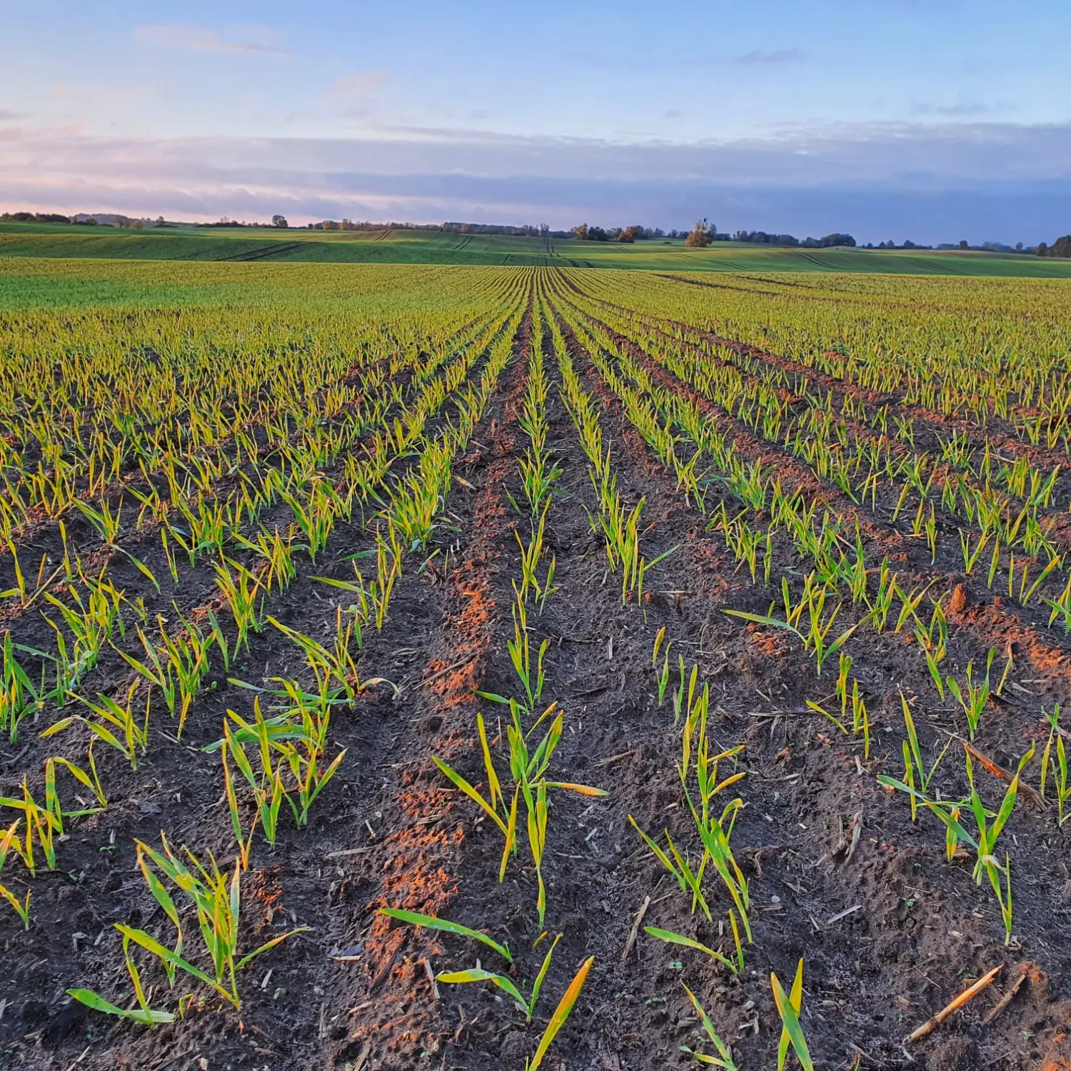Agrargesellschaft Uckerland mbH, Agrarflächen
