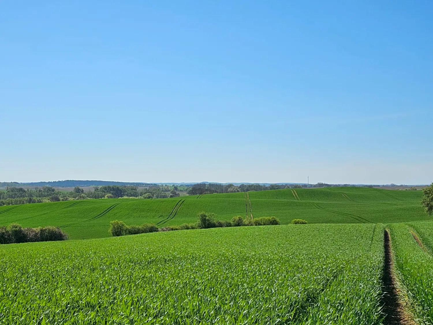Agrargesellschaft Uckerland mbH, Agrarflächen