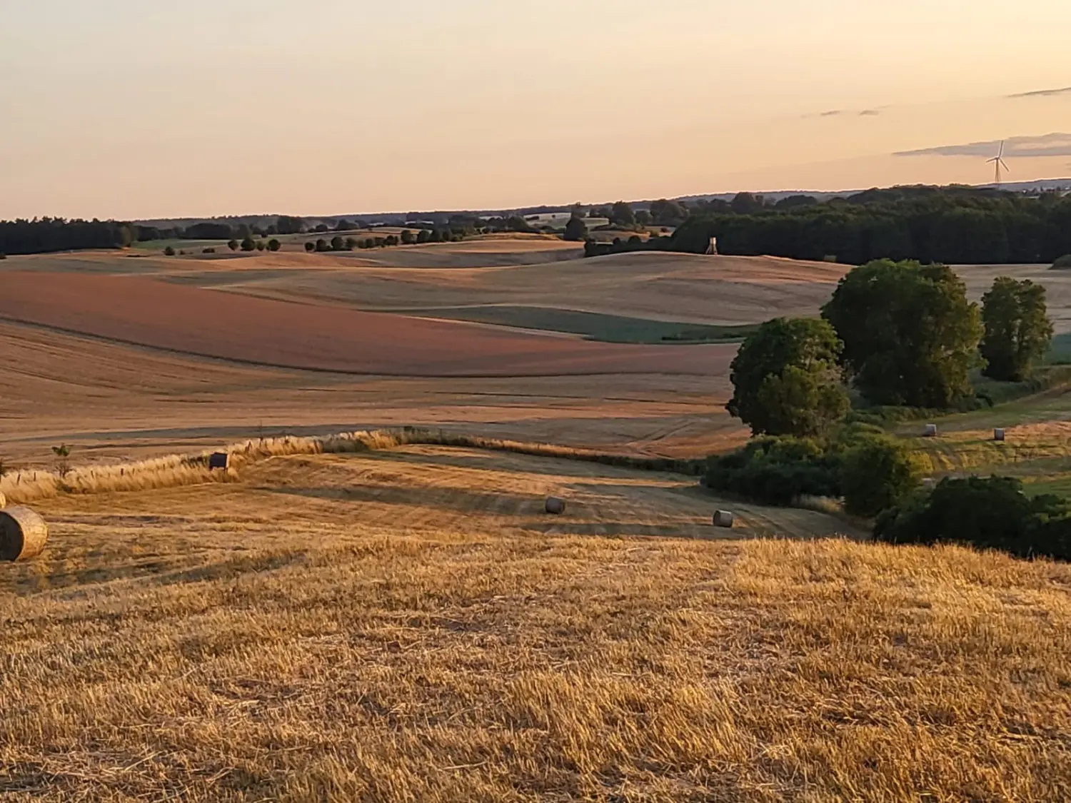 Agrargesellschaft Uckerland mbH, Agrarflächen